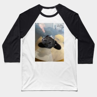 cone of shame Baseball T-Shirt